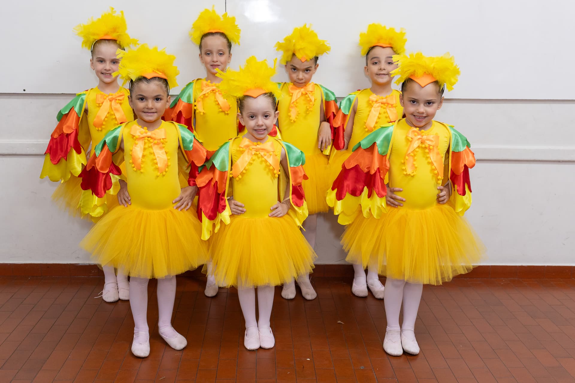 ESCOLA DE PASSARINHOS HOMENAGEADA EM ESPETÁCULO DE DANÇA - 1