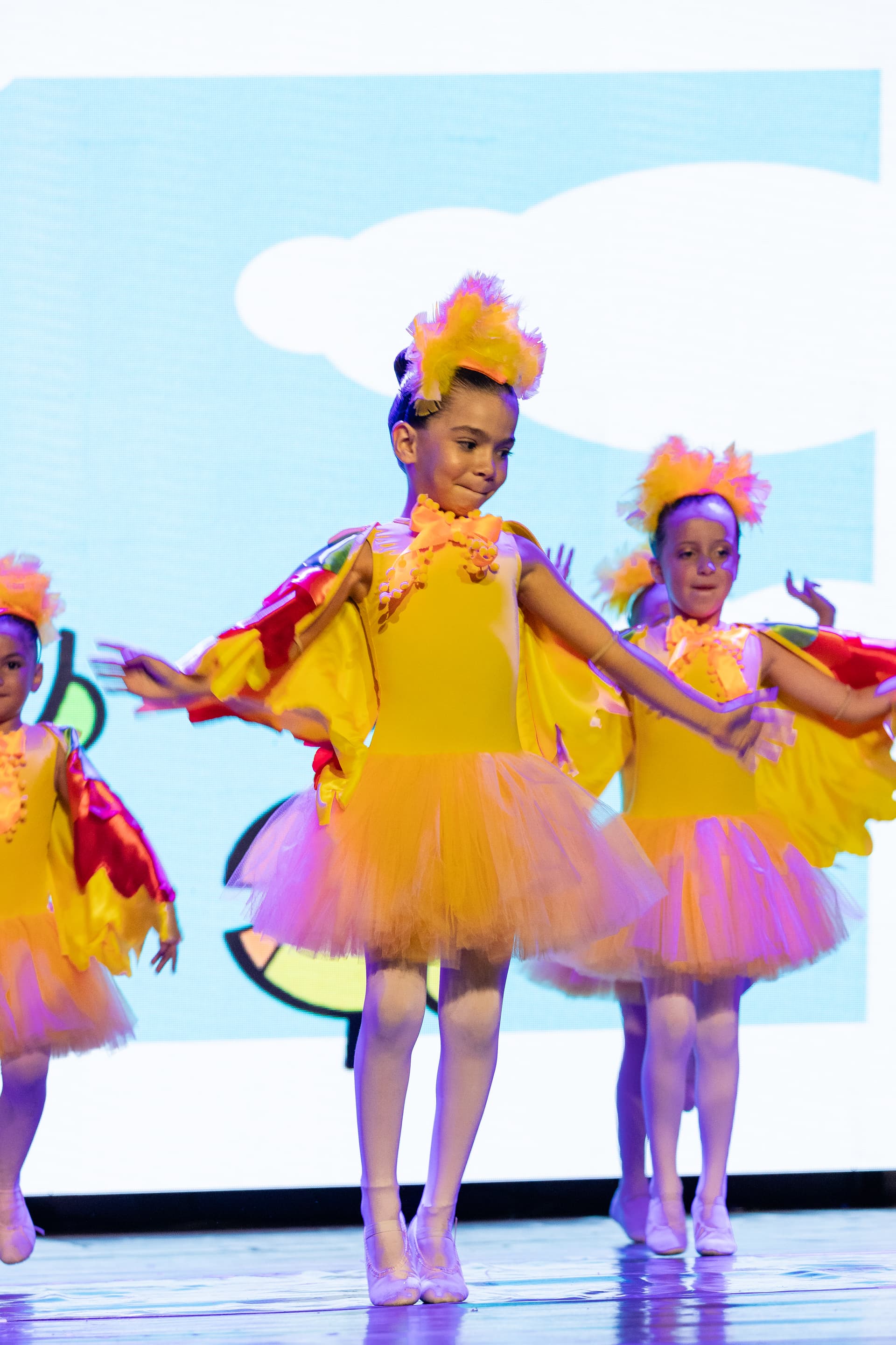 ESCOLA DE PASSARINHOS HOMENAGEADA EM ESPETÁCULO DE DANÇA - 3