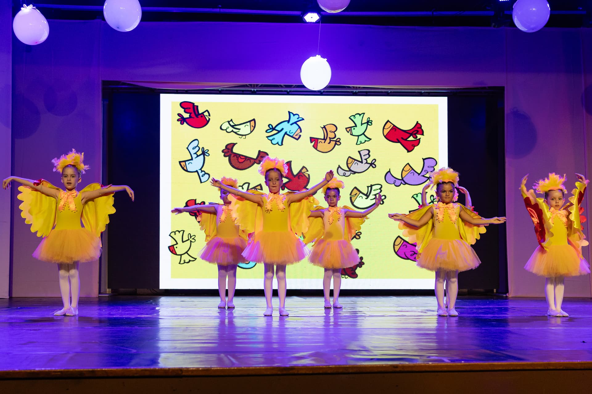 ESCOLA DE PASSARINHOS HOMENAGEADA EM ESPETÁCULO DE DANÇA - 4