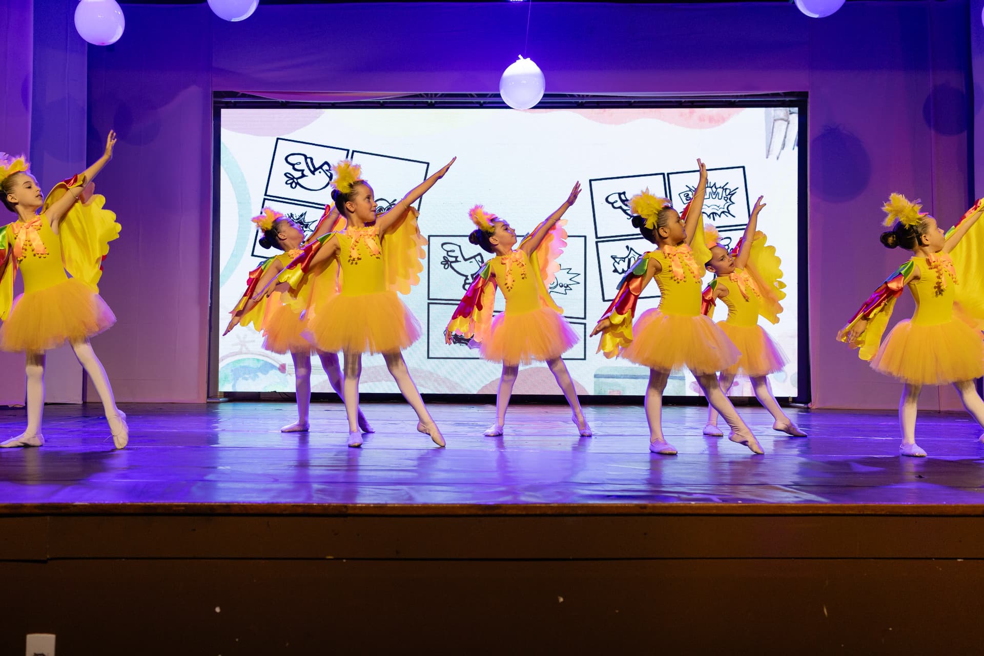 ESCOLA DE PASSARINHOS HOMENAGEADA EM ESPETÁCULO DE DANÇA - 5