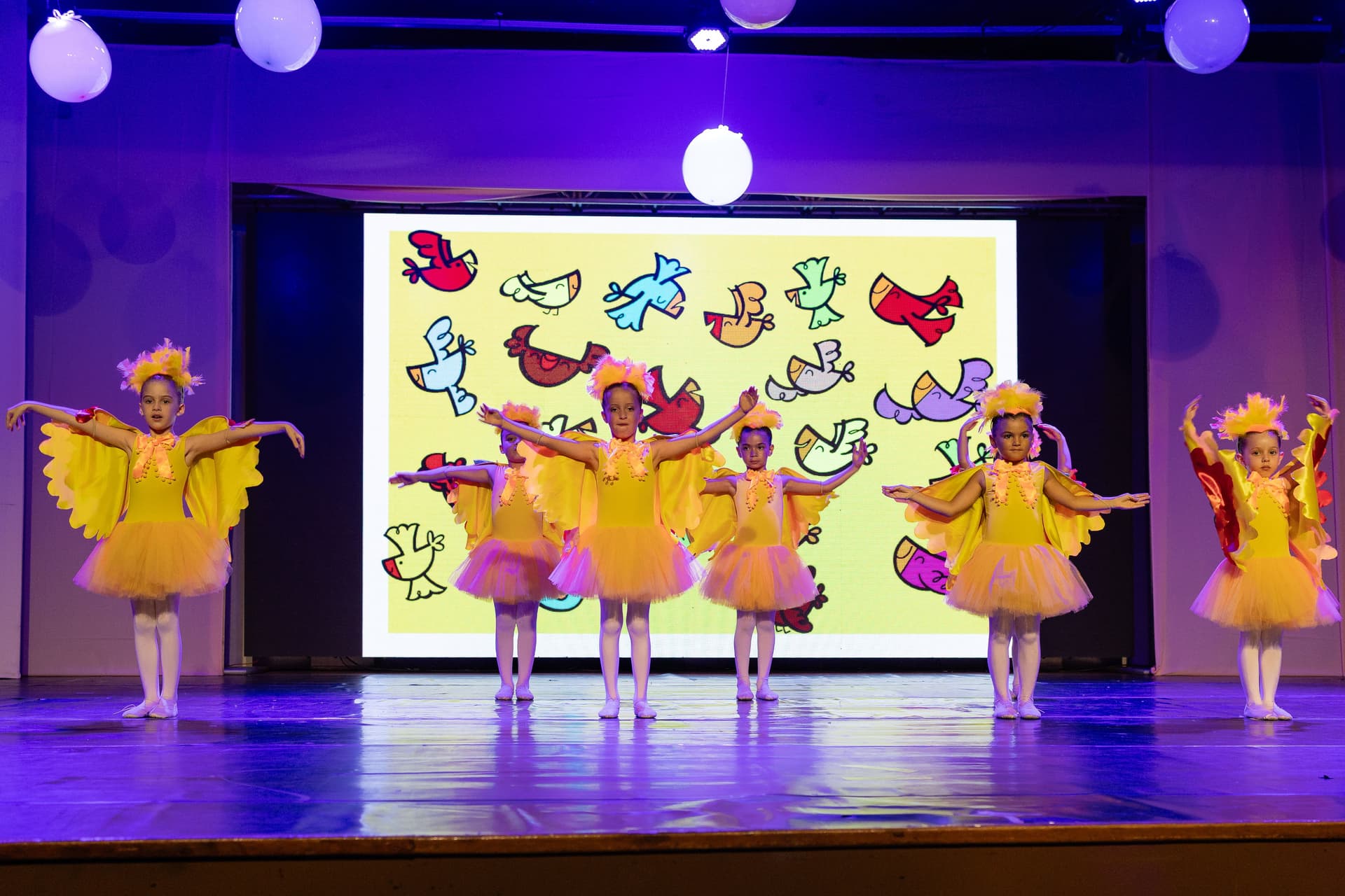 ESCOLA DE PASSARINHOS HOMENAGEADA EM ESPETÁCULO DE DANÇA - 4